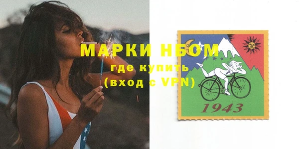 сатива Кинешма