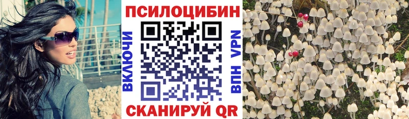 Псилоцибиновые грибы Cubensis  Купить закладки  Каспийск 